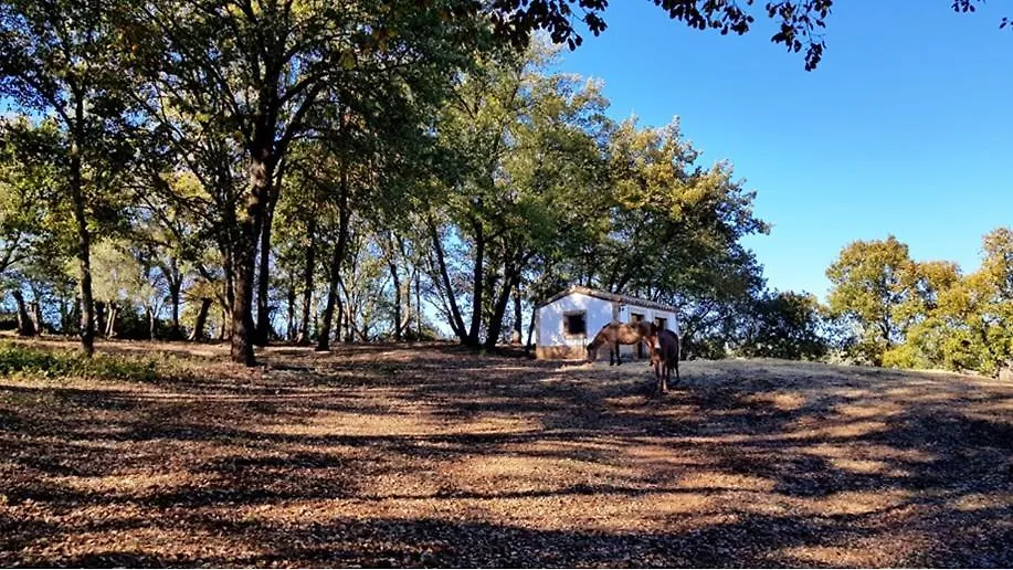 Finca La Liserilla Galaroza