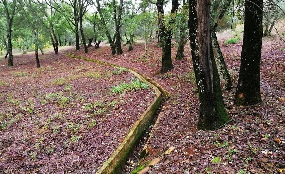 Finca La Liserilla Galaroza 0*,  Spain